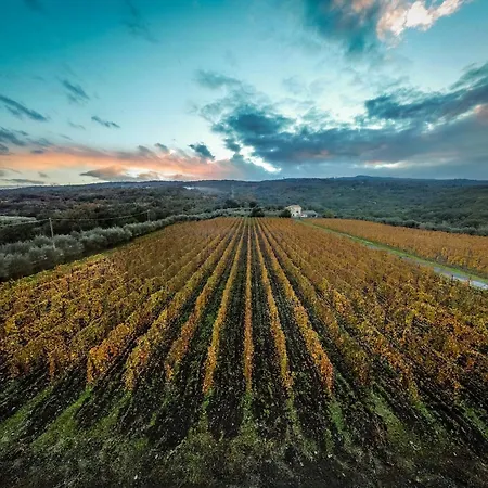 Alloggio per agriturismo Casa Arrigo