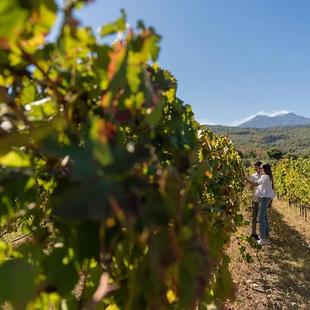 Vakantieboerderij Casa Arrigo